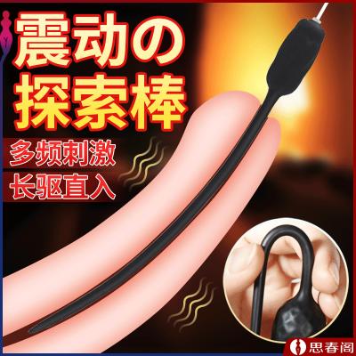 【柔软细长】阿卡丽GALAKU震动马眼棒 日本品牌健康硅胶材质 遥控控制SM性用品尿道扩张